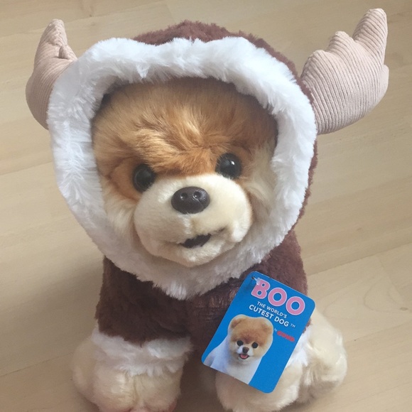 boo the dog stuffed animal nordstrom